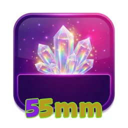 55mm