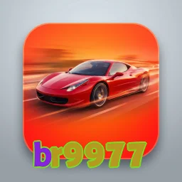 br9977